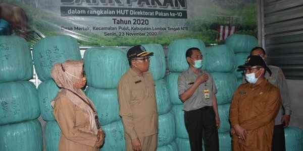Kementan Luncurkan Bank Pakan Dukung Swasembada Protein Hewani