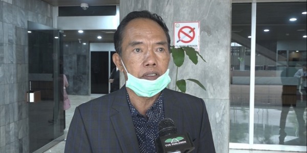 Politisi Demokrat: Banyak Kalangan Ingatkan Agar Tak Ekspor Benih Lobster