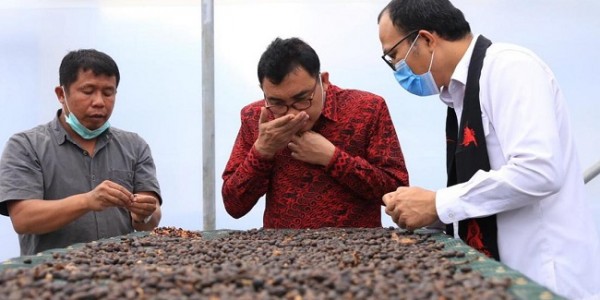 LPDB Diminta Prioritaskan Pembiayaan ke Koperasi 