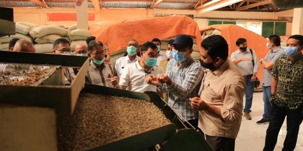 LPDB Bakal Back Up Ekspor 10 Kontainer Kopi ke Starbucks AS