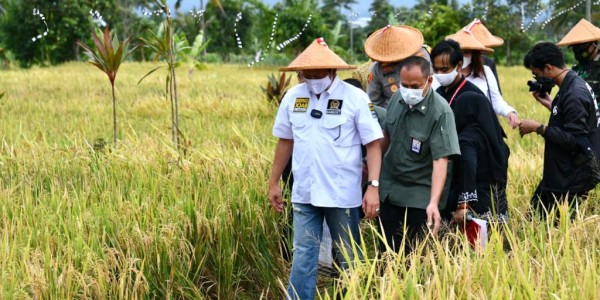 Bamsoet Berikan Bantuan Alsintan Saat Panen Raya Padi Cianjur