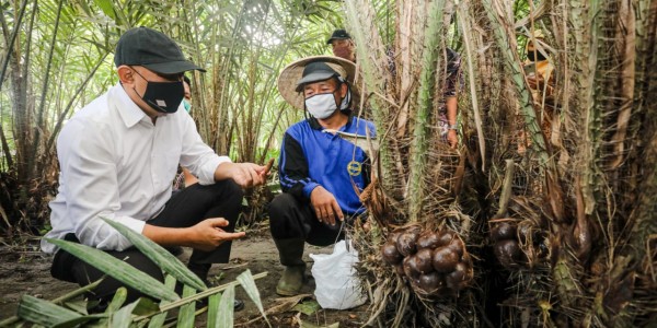 Teten Dorong Model Bisnis Sirkuit Ekonomi Melalui Koperasi