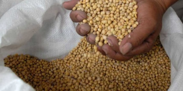 Pangkas Mafia Pangan, Mendag Lutfi Disarankan Terapkan Tarif Impor