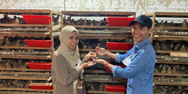 Bangun Kampung Halaman Lewat Sentuhan Graha Kreatif 