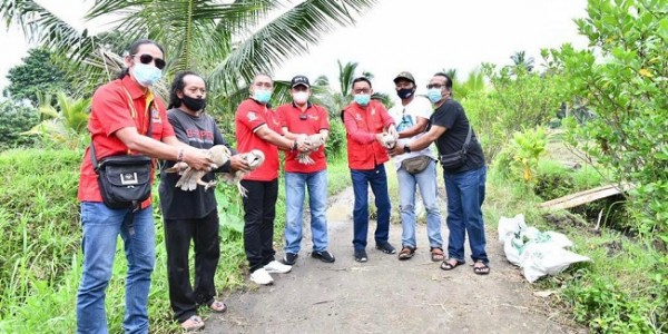 Bersama SOKSI, Bamsoet Lepas Burung Hantu Basmi Hama Tikus di Tabanan Bali