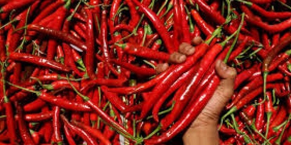 Harga Cabai Melangit, Emak-emak Menjerit