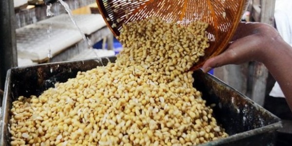 Kenaikan Kedelai Dunia Pengaruhi Harga Tahu Tempe