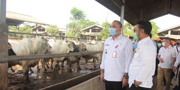 Jelang Puasa dan Lebaran, Mentan Pastikan Pasokan Daging Tersedia