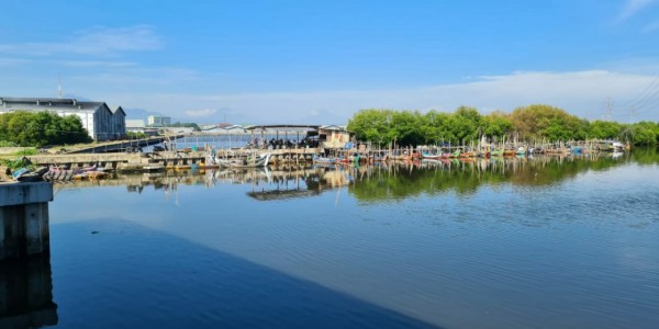 Bangun Tol Semarang - Demak, PUPR Pastikan Lindungi Kawasan Mangrove Pesisir Pantura