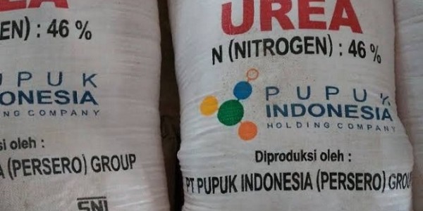 Dipersalahkan Soal Pupuk Bersubsidi, Anak Buah Paloh Bela Mati-matian Mentan