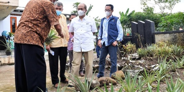 Kemenkop Siapkan Rumah Produksi Bersama Olahan Nanas di Kab Subang 