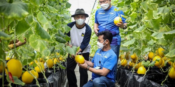 Kemenkop Akan Fokus Kembangkan Model Bisnis Sektor Pertanian