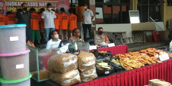 Lebih dari 185 Kilogram Sinte Disita Polisi, Taksiran Harganya Mencapai Rp 15 Miliar