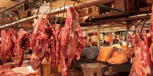 Cegah Stunting, Kementan Dorong Peningkatan Konsumsi Protein Hewani 