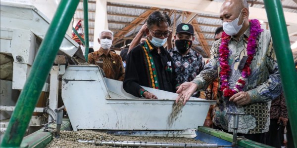 Ekspor 18 Kontainer Kopi Arabica Gayo ke AS-Eropa, Teten: Nilainya Rp6,5 Miliar