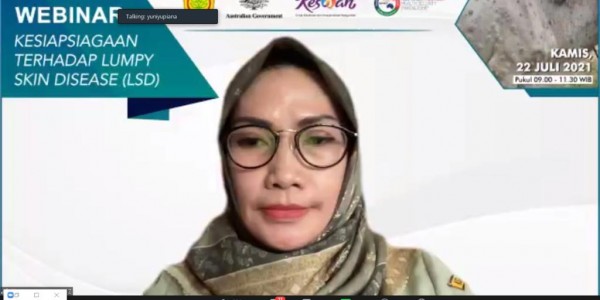 Meski Indonesia Bebas Penyakit LSD, Kementan Minta Peternak Tetap Siaga