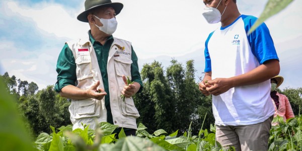 Teten Minta Petani Gabung ke Koperasi Agar Tak Pusing Jual Produk