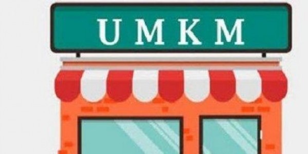 Pelaku Usaha Mikro Perempuan dan Pedesaan Perlu Didukung Pendampingan