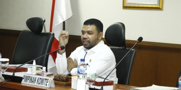 Soal Gugatan Perdata Luhut ke Haris Azhar, Begini Kata Senator Filep