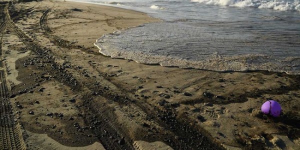 Tumpahan Minyak di California Sebabkan Ikan-ikan Mati dan Laut Tercemar