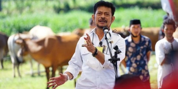 Soal Polemik Stok Jagung,  Data Kementan Dipercaya
