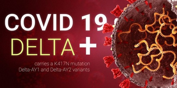 PKS Minta Pemerintah Jangan Asbun Soal Covid-19 Delta Plus