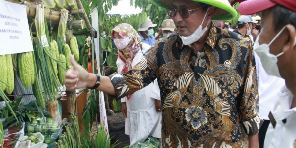 Hadiri Panen Raya Jagung, Fadel Muhammad Dorong Daerah Tingkatkan Komoditas Pangan