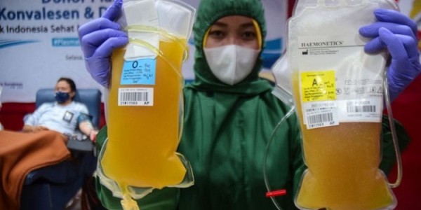 WHO Anjurkan Tak Pakai Plasma Konvalesen untuk Pasien Covid-19