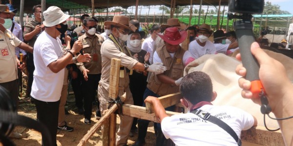 Mentan SYL Panen Pedet dan Luncurkan Program Kelahiran 100.000 Ekor Belgian Blue