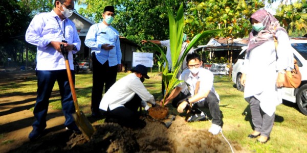 BTN Dorong Penanaman Bibit Kelapa Hibrida