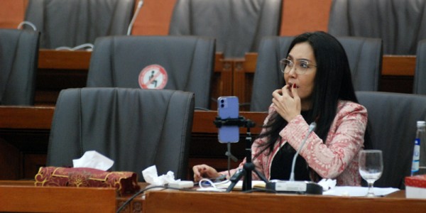 Komisi VI DPR Gelar Raker Dengan Asosiasi Apotek Indonesia dan Ketua Umum Gabungan Pengusaha Farmasi