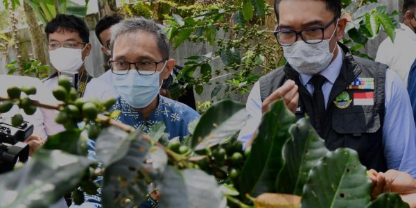 Lepas Ekspor Kopi, Koperasi Produsen di Garut Buktikan Daya Saingnya