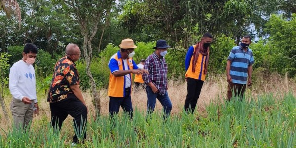 Dengan Koperasi Obor Mas, LPDB-KUMKM Dukung Penuh Program Ketahanan Pangan di NTT
