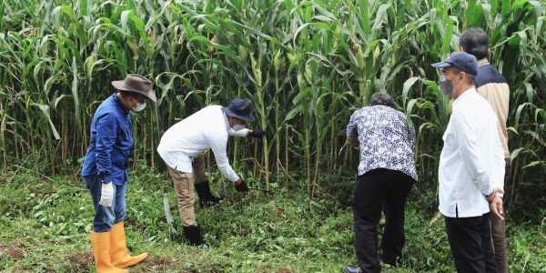 Pengembangan Ekosistem Sapi Perah Unpad Diharapkan Jadi Percontohan Kampus Lain