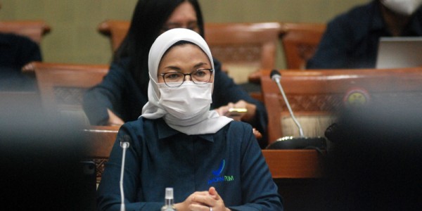 BPOM Raker Dengan Komisi IX DPR RI