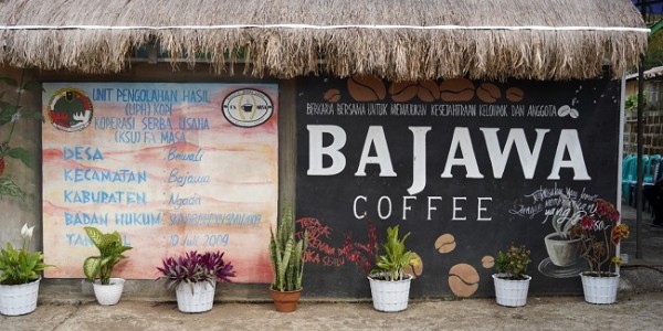 Agar Produk Kopi Mendunia, Koperasi Kecil di NTT Perlu Merger 