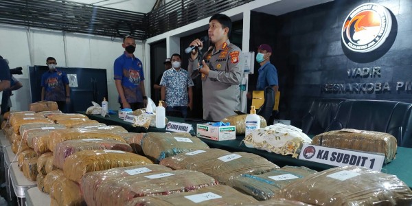 Tangkap Delapan Pengedar, Hampir Setengah Ton Ganja Disita