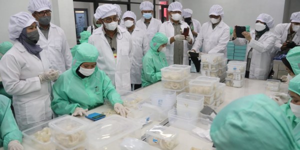 Mentan Dorong Sarang Burung Walet Tembus Pasar Amerika dan Eropa