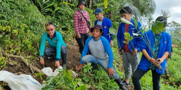 Senator Stefa Bersama Kelompok Tani Tanam Pohon di Gunung Tampusu