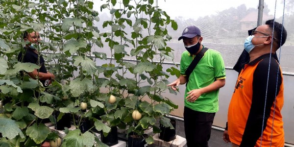 Kolaborasi dengan PUM Belanda, Inkubator ALEC Perkuat Program Wirausaha LPDB-KUMKM