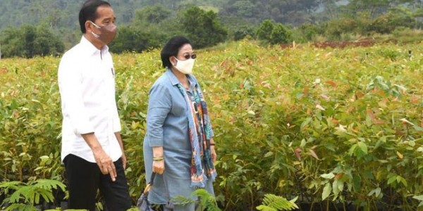 Hubungan Jokowi-Megawati Renggang, Pratikno: Baik-baik Saja 