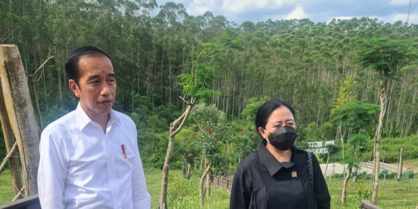Puan Seharian Bersama Jokowi Tinjau IKN Nusantara Hingga Kunker Ke Samarinda