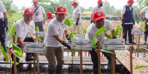 Bank DKI Tanam Bibit Pohon Mangrove