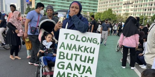 DPR Minta Pemerintah Segera Respons Putusan MK soal Kajian Ganja Medis