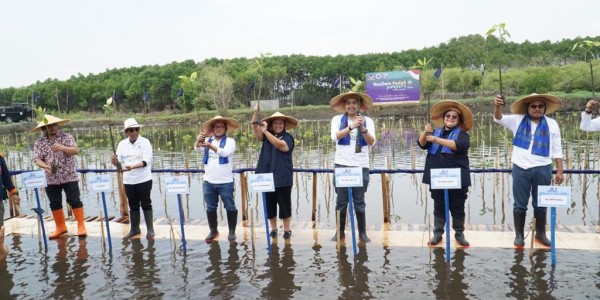 Komitmen Jaga Lingkungan, NasDem Tanam Mangrove di 9 Kabupaten/Kota di Pantura