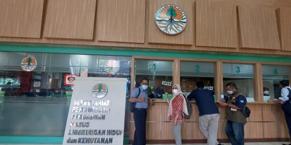 Bersih-bersih Mafia Kehutanan di Kotabaru, Kali Ini PT MSAM Dilaporkan ke KLHK 