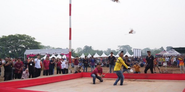 Total Hadiah Rp200 Juta, Teten Dorong Lomba Merpati Kolong Diperbanyak