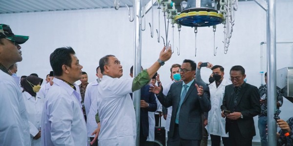 Kementan Harap Keberadaan Rumah Potong Unggas Jaga Kualitas Daging