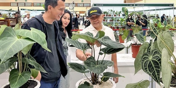Teten: Indonesia Berpeluang Besar Kuasai Pasar Tanaman Hias