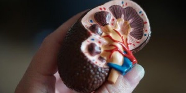 Fungsikan BRIN, Jangan Belum Apa-apa Mau Impor Obat Gagal Ginjal Akut!